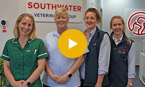 video thumb Southwater Veterinary Group
