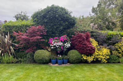 Explore hidden gems and support your community at Wellington Open Gardens 2026