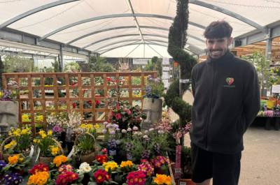 10 Year Anniversary for the Face of Love Plants