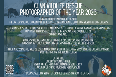 Cuan Wildlife Photography Competition 2026