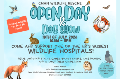 Cuan Wildlife Rescue Open Day & Dog Show
