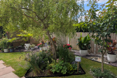 Wellington Open Gardens Raises Over £2,500 for Local People and Communities