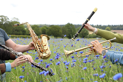 Music and Lineup Revealed for Proms in the Petals