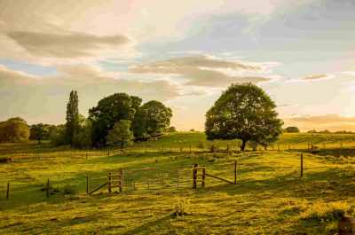 Fordhall Organic Farm Secures Funding to Expand Cancer Support Programme