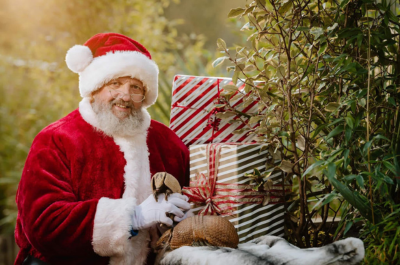 Christmas at the Zoo