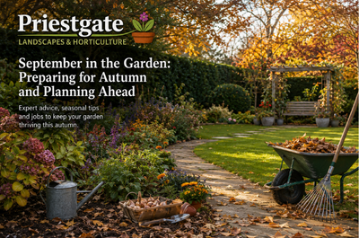 September in the Garden: Preparing for Autumn and Planning Ahead