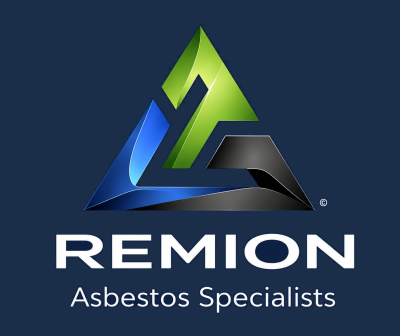 Remion Ltd_Logo