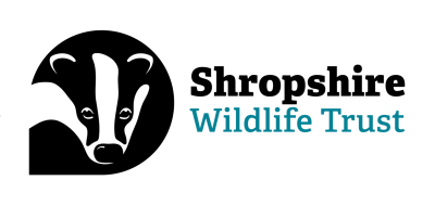 Shropshire Wildlife Trust_Logo