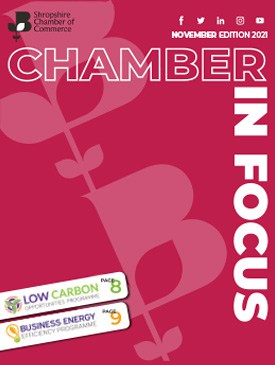 Chamber in Focus November 2021 Thumb
