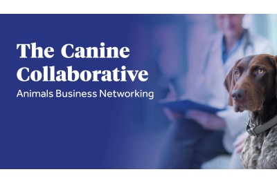 The Canine Collaborative - Animals Business Networking