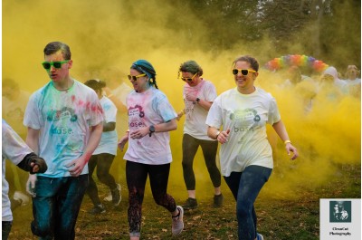 Sunflower Sprint (Or Saunter)