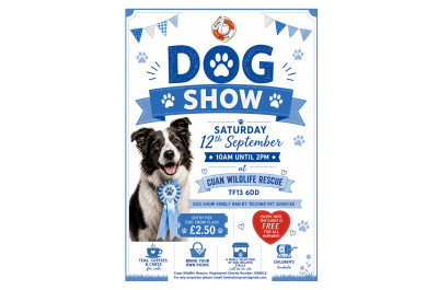 Fun Dog Show