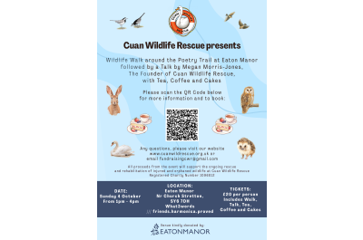 Wildlife Poetry Walk & Talk