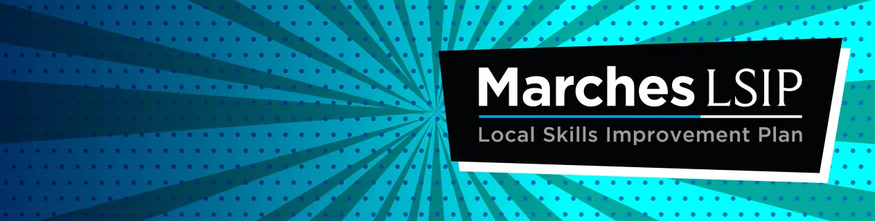  Marches LSIP Stage 1 Report
