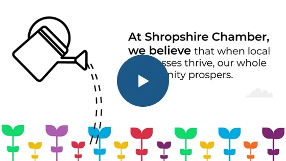 hp video thumbnail membership overview 2026