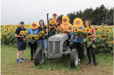 Fields of Shropshire-grown sunflowers gifted to local cancer charity in aid of new appeal