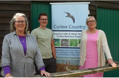 SWS Broadband pledges support to pioneering organisation in its aim to bolster declining curlew population