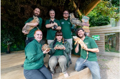Tickets Launched for Night Time at the Zoo